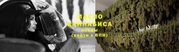 дмт Пересвет