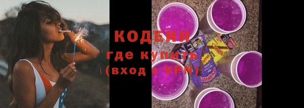 дмт Пересвет