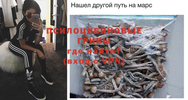 дмт Пересвет