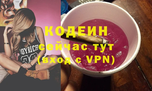 дмт Пересвет