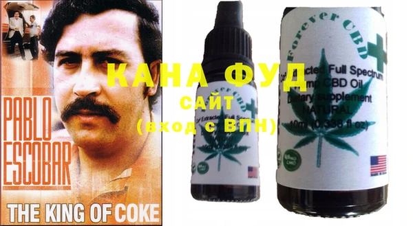 дмт Пересвет