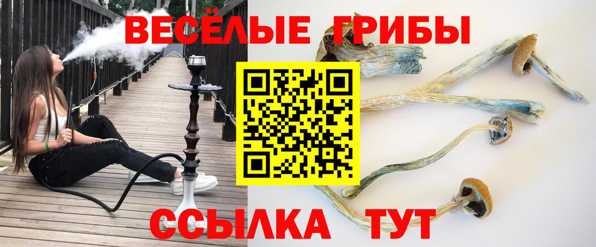 Барабинск  Галлюциногенные грибы GOLDEN TEACHER  Псилоцибиновые грибы Psilocybe  сколько стоит  Вход с VPN 